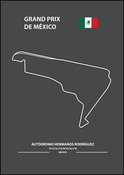 GRAND PRIX DE MÉXICO | Formula 1 van Niels Jaeqx