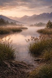 wildromantische Mooslandschaft im Morgennebel