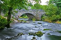Römische Brücke über einen Fluss im Lake District in England von Hans Kwaspen Miniaturansicht