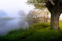 Misty Zaanse Schans