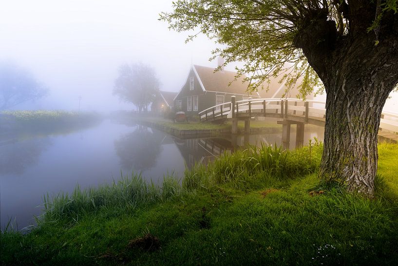 Neblige Zaanse Schans von Steffon Reid