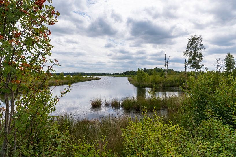 lake by Merijn Loch