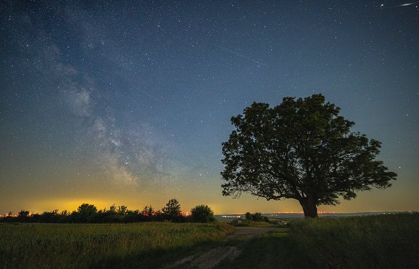 Sentinelle solitaire parmi les étoiles - arbre et voie lactée dans le district de Kyffhäuser par Fototante