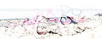 Spectacles sur la plage