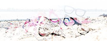 Brillen op het strand van pauline smale