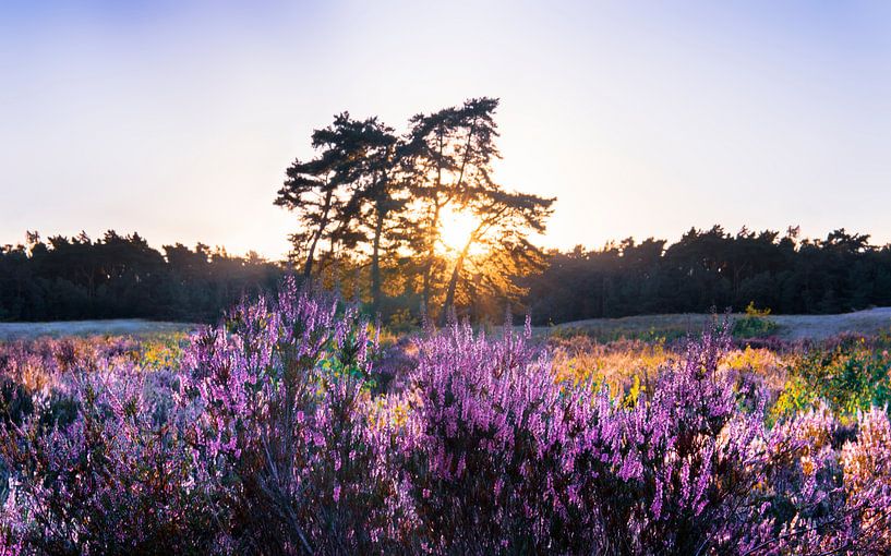 Sonnenuntergang Soester Dünen von Julius Pot