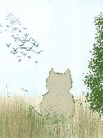 kat,vogels kijken, lente