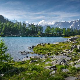Het meer van Arpy en het Mont Blanc-massief. Valle d'Aosta van Stefano Orazzini