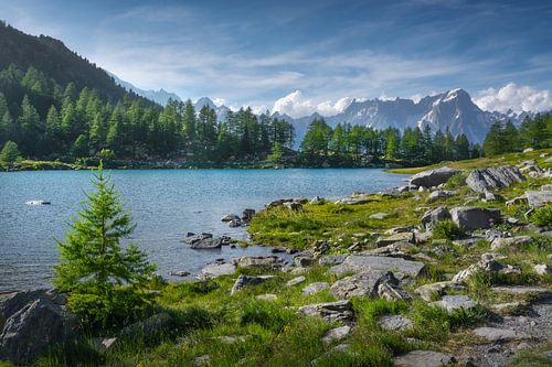 Het meer van Arpy en het Mont Blanc-massief. Valle d'Aosta