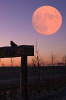 Bloodmoon