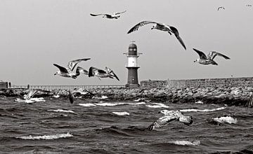 Storm flight of seagulls at the pier in Warnemünde by Silva Wischeropp