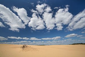 Wolkenstraat bij de Hoge Veluwe