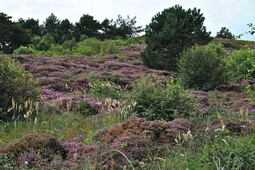 De Bleekersvallei von Karin Dragstra