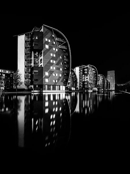 FineArt in black and white, Den Bosch by Eddy Westdijk