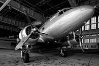 Rozijnenbommenwerper op de oude luchthaven Berlin-Tempelhof van Frank Herrmann thumbnail