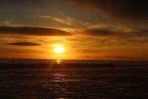 Coucher de soleil