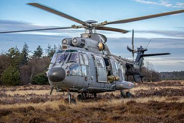 Cougar van de Luchtmacht op de heide van Davy van Olst