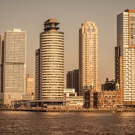 Skyline Rotterdam, Hotel New York von Susan van der Riet