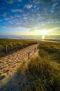 Strand, Meer und Sonne von Dirk van Egmond Miniaturansicht