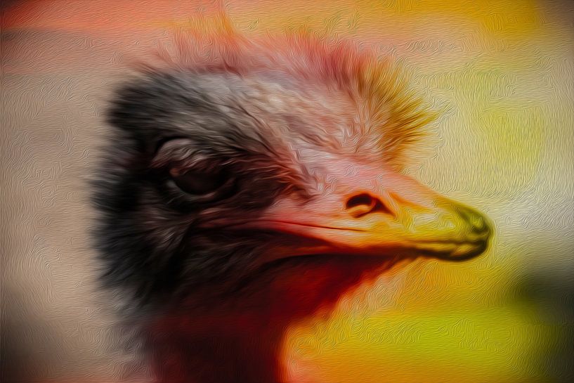 ostrich with smile by Freddy Hoevers