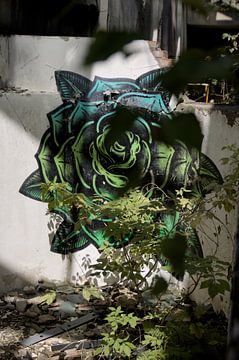 Groene roos van Tamara Behr