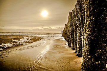Reihe von Masten am Strand von Flushing von Fotografie Jeronimo