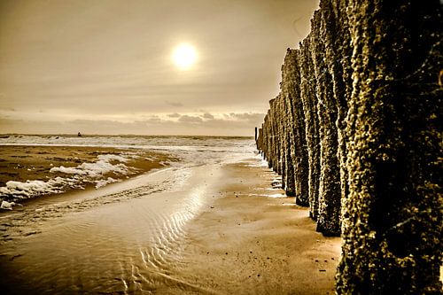 Palenrij op het strand van Vlissingen