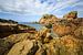 Warm gefärbte Granitfelsen an der französischen Küste von Karla Leeftink
