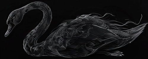 Painting Swan Black and white