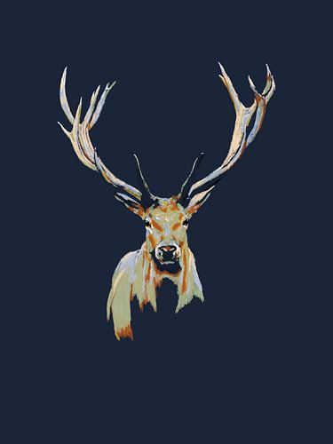 Rentiere in der Nacht