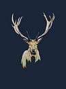 Reindeer in the night by Studio Carper thumbnail