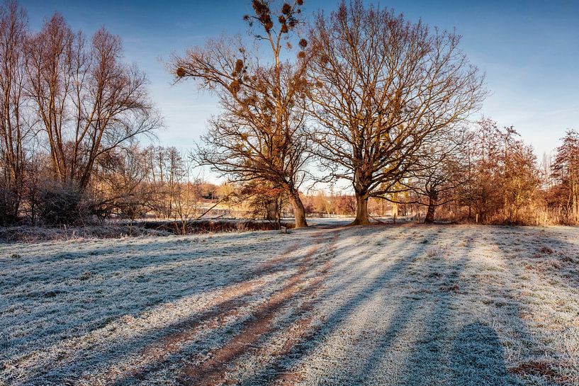 Winter in Epen van Rob Boon