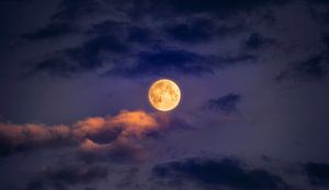 1024 Pleine lune sur Adrien Hendrickx