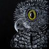 Owlery sur Ton van Buuren