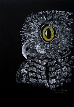 Owlery by Ton van Buuren