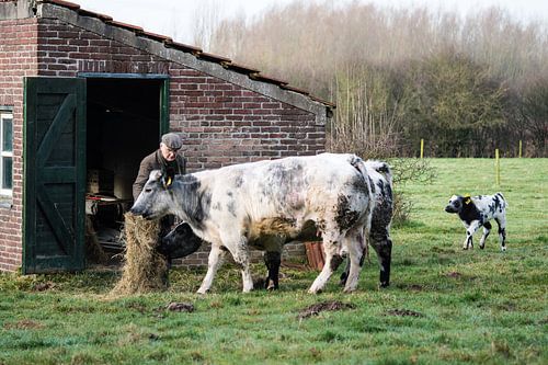 Nieuw leven, begin van de lente....