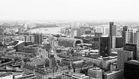 Die Skyline von Rotterdam mit verschiedenen Hotspots