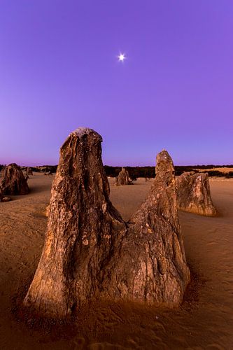 Bijzondere rots formaties in Pinnacles desert national park bij zonsondergang net buiten Perth in Au