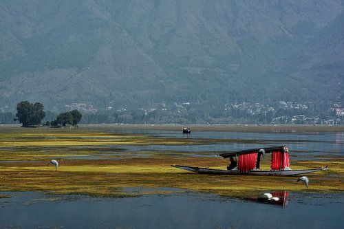 Dal Lake
