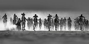 Algerien, Tamanrasset. Kamelrennen. Tuareg.