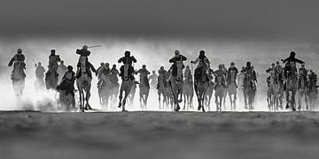 Algerien, Tamanrasset. Kamelrennen. Tuareg.