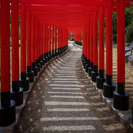 Japanische Torii-Tore an einem Tempel von Ineke Timmermans