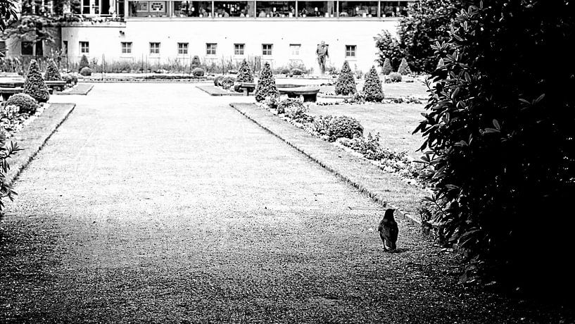 The walker by Petra Dreiling-Schewe