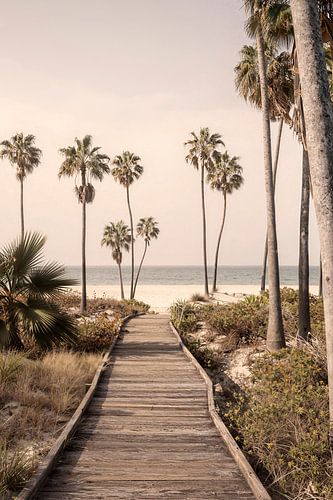 Een paradijselijk pad naar de zee van Melanie Viola