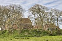 Terpdorp Jannum in Friesland