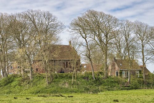 Terpdorp Jannum in Friesland