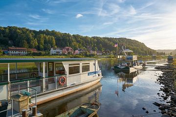 Fähre über den Fluss Elbe mit Niedrigwasser wegen Trockenheit bei Wehlen im Elbsansteingebirge