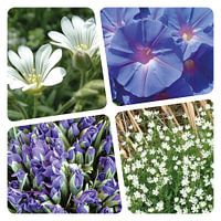 Flower collage paars