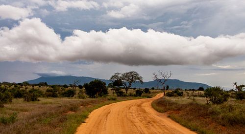 Dirt Road Tsavo
