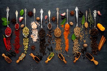 Exotic spices from around the world by Photo Art Thomas Klee